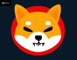 Shiba Inu Coin Price Prediction